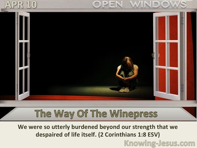 The Way Of The Winepress